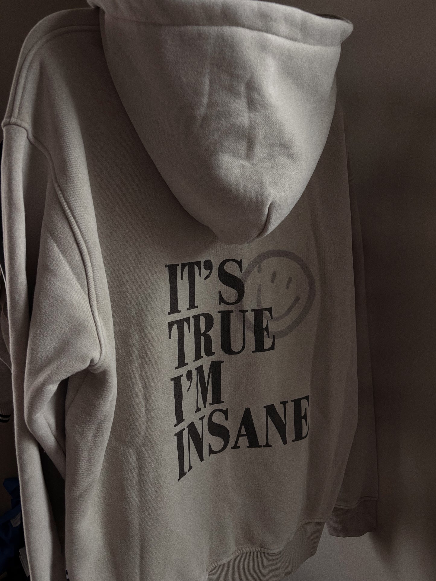 It’s True, I’m Insane Hoodie