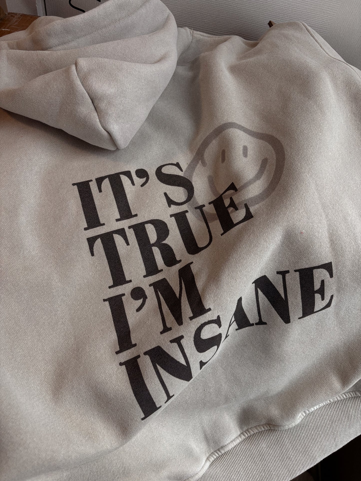 It’s True, I’m Insane Hoodie