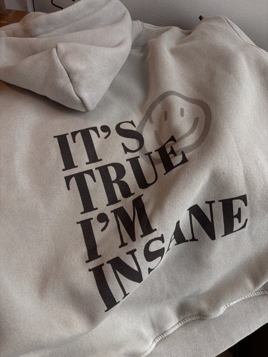It’s True, I’m Insane Hoodie